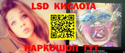 стафф Волгодонск